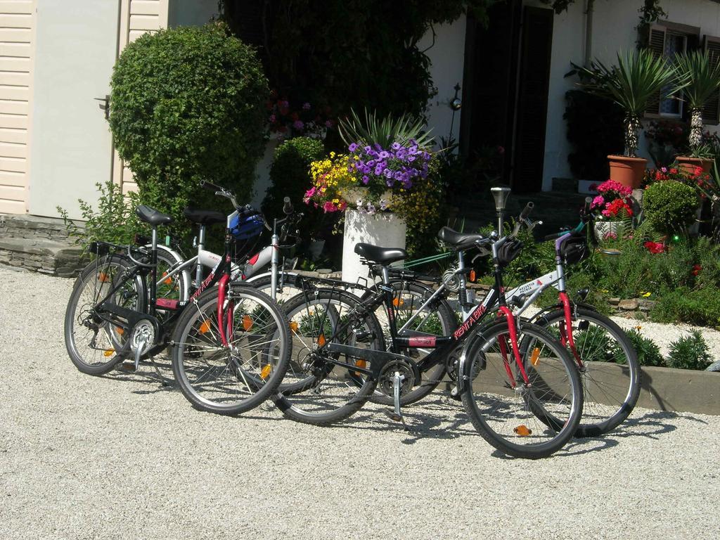 Haus Thon * Bodensdorf